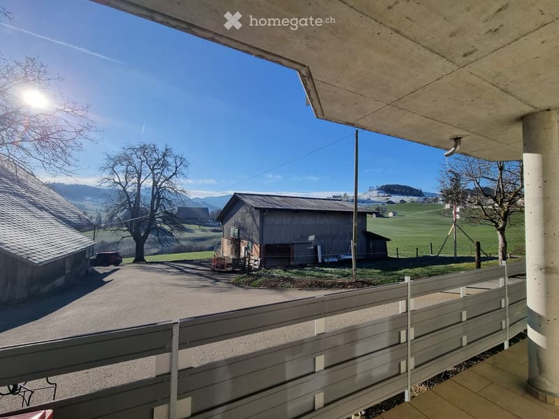 Schöne 2.5 Zimmer Wohnung (1)