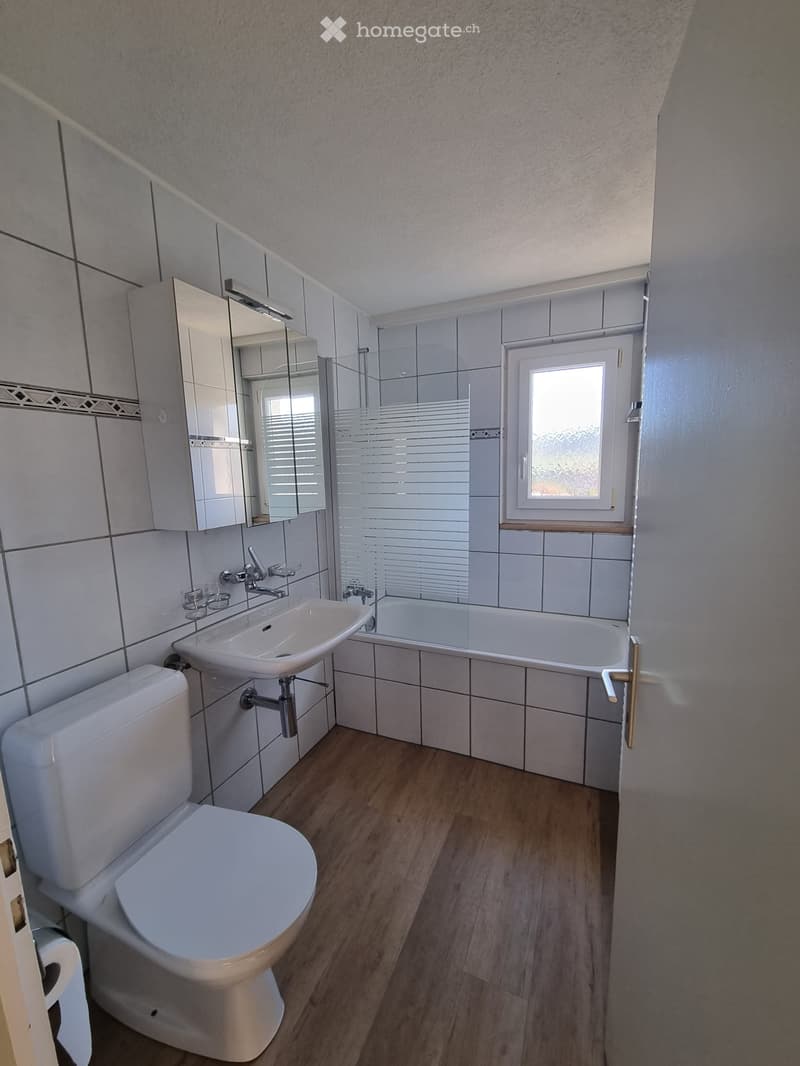 Schöne 2.5 Zimmer Wohnung (8)