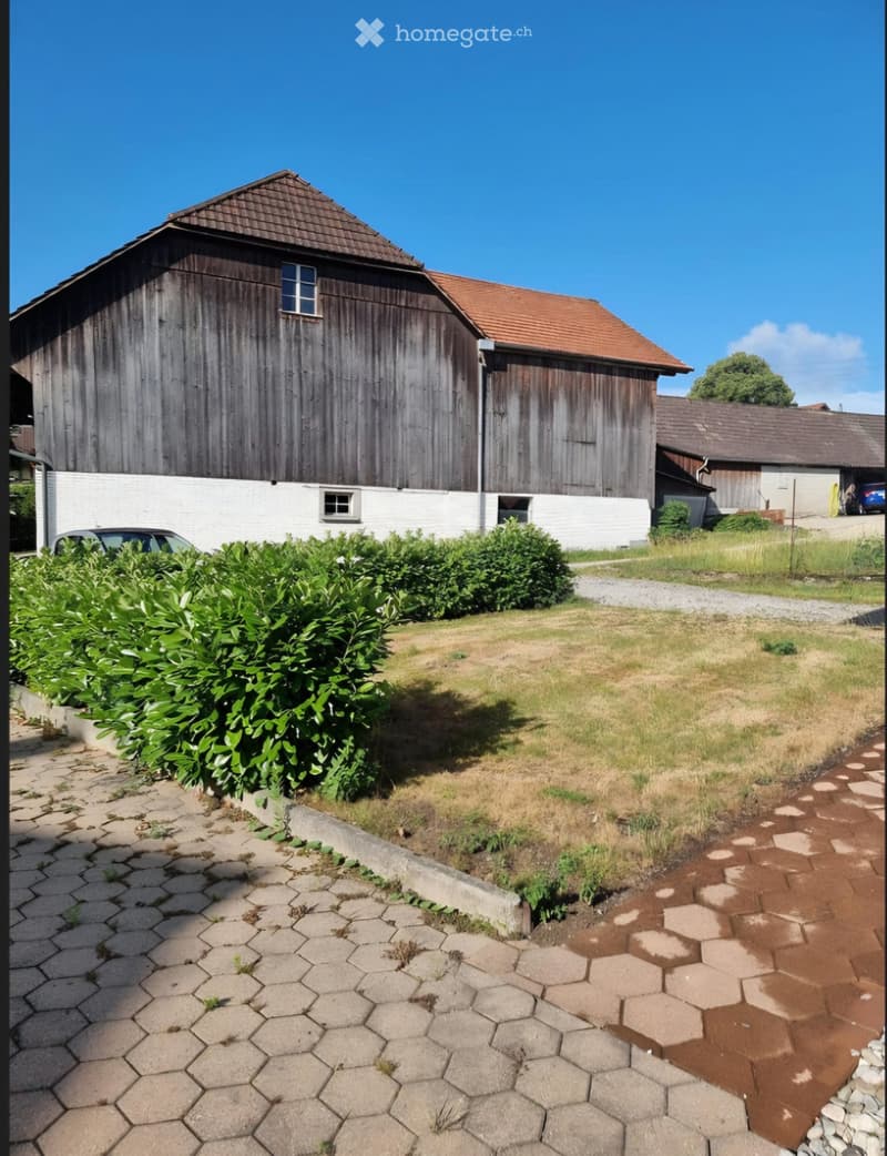 Wohnung in Kallnach zu vermieten (2)