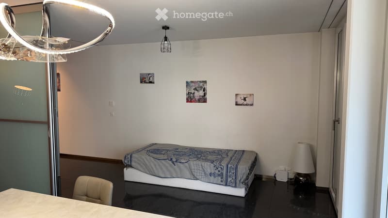 3z möblierte zentral Luzern 3 rooms furnished central Lucern (3)