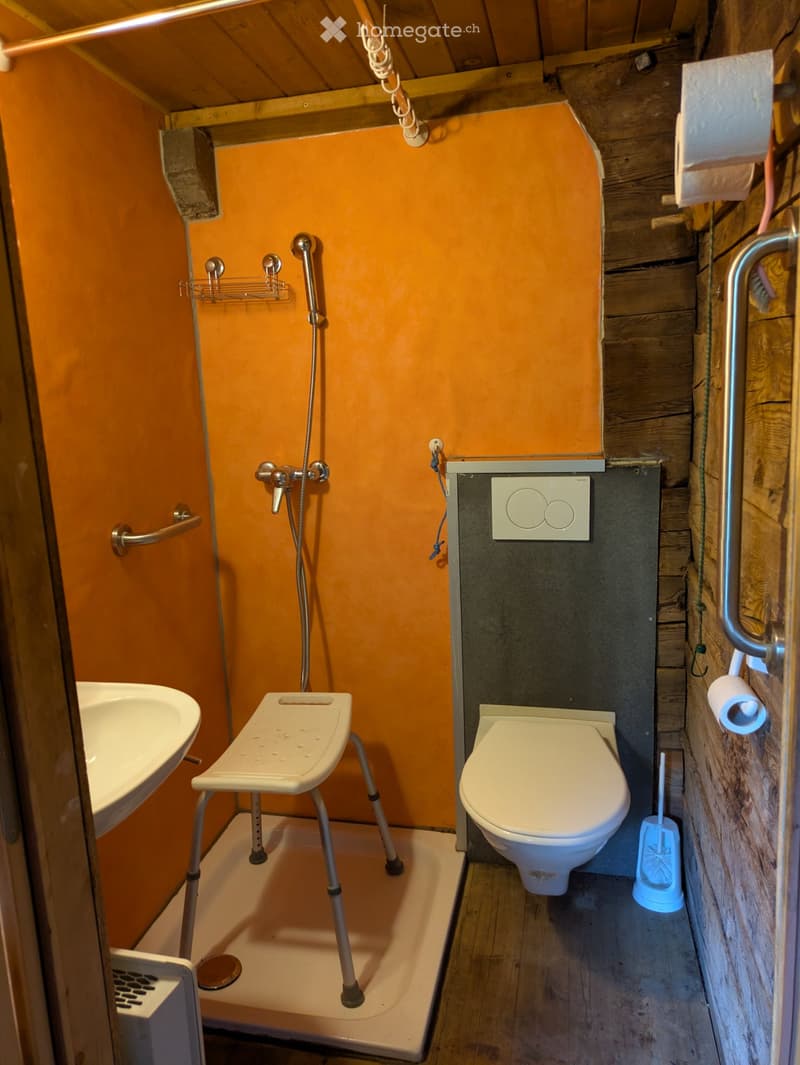 Charmante Walliser 3.5 Zimmerwohnung (4)