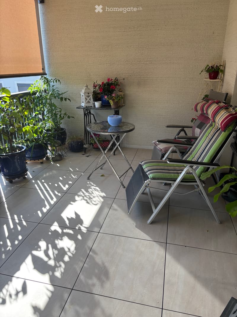 schöne helle Wohnung zu vermieten ab 01.10.2026 (1)