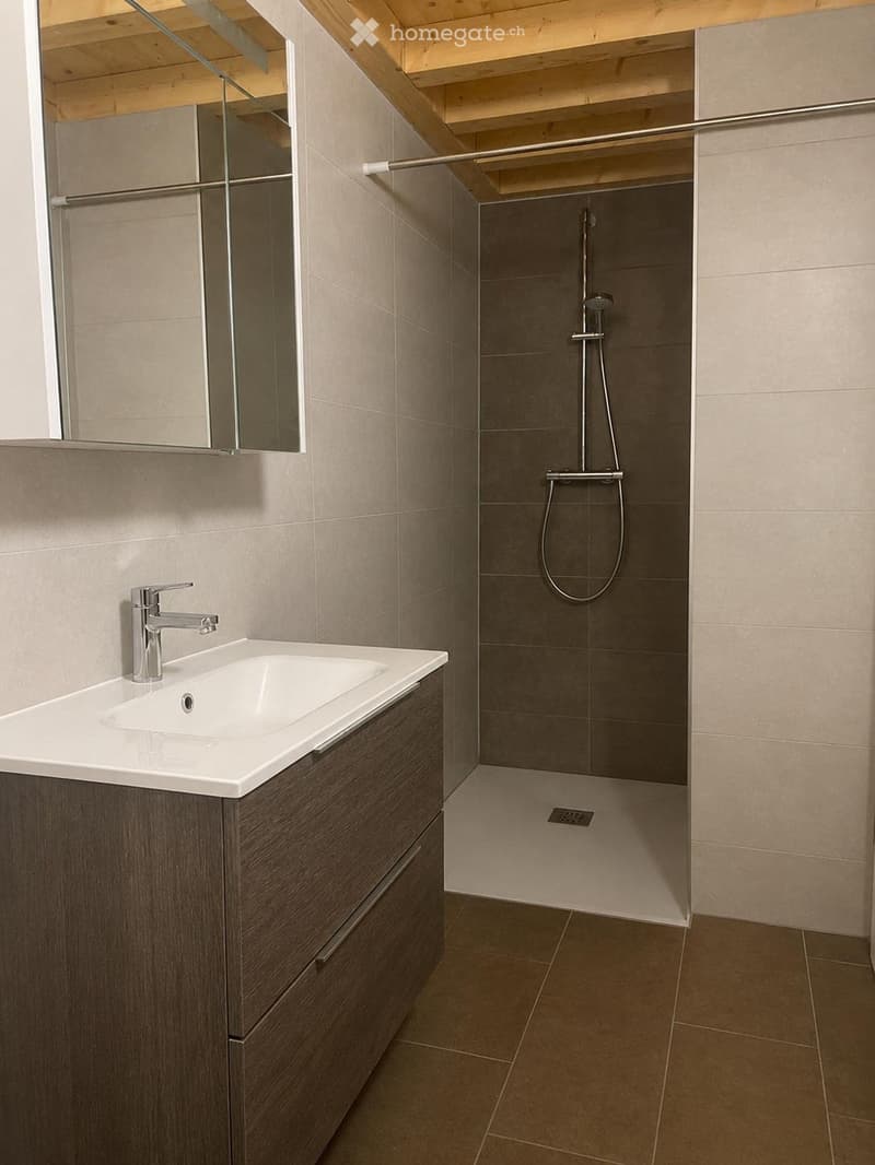 Appartement lumineux avec mezzanine et charme unique (4)