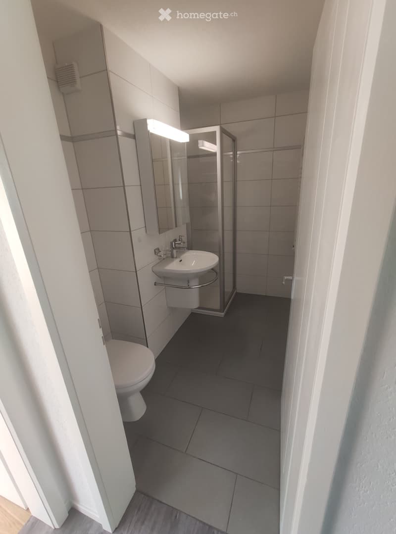 Zu vermieten 3 Zimmer Wohnung *Ab Sofort* (5)