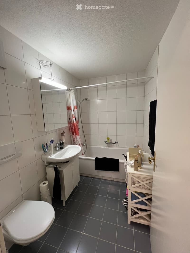 UNTERVERMIETUNG 2.5 Zi. Wohnung in Emmenbrücke (2)