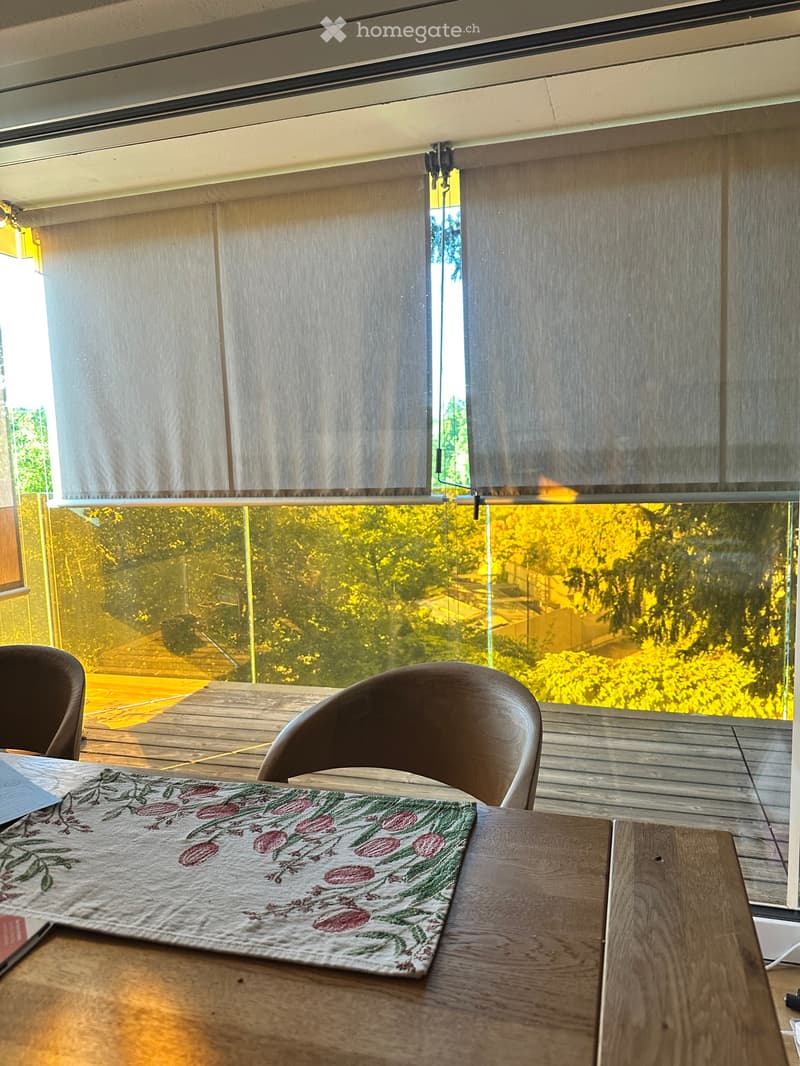 Helles, voll möbliertes Zimmer mit Zooblick (2)