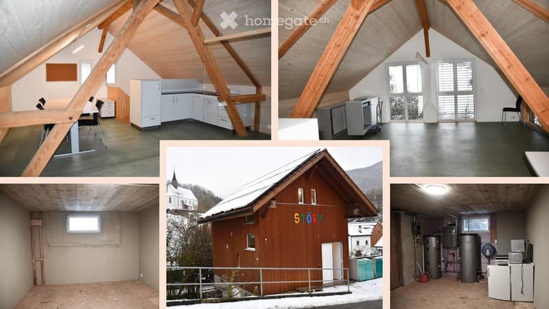 Charmantes Loft mit Werkstattpotenzial (1)