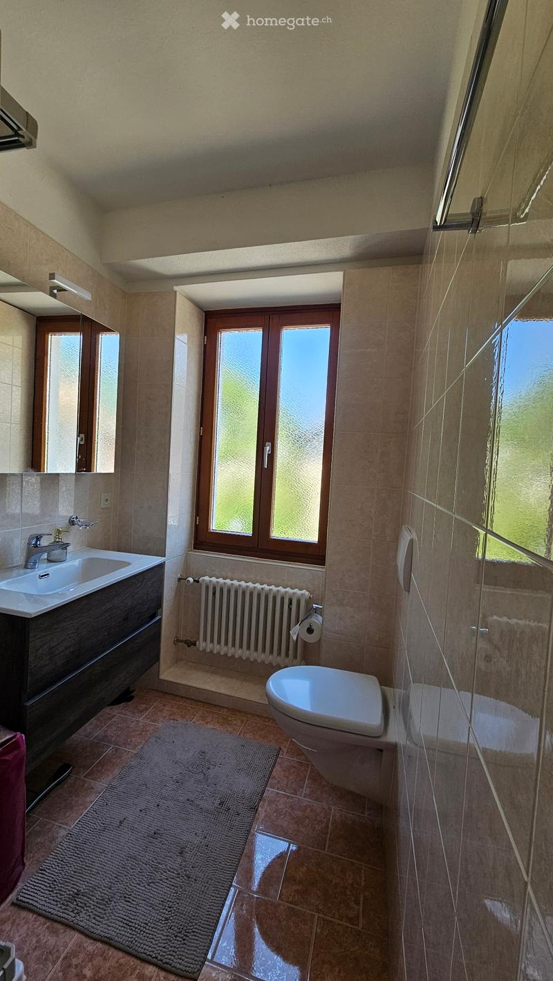 Casa nel nucleo di Cadepiano in affitto  arredata (10)