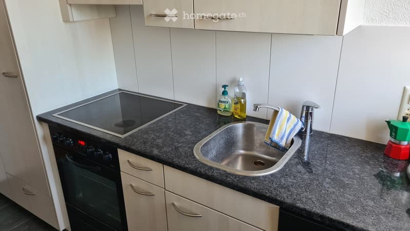 4 Zimmer-Wohnung in Wetzikon mieten (3)