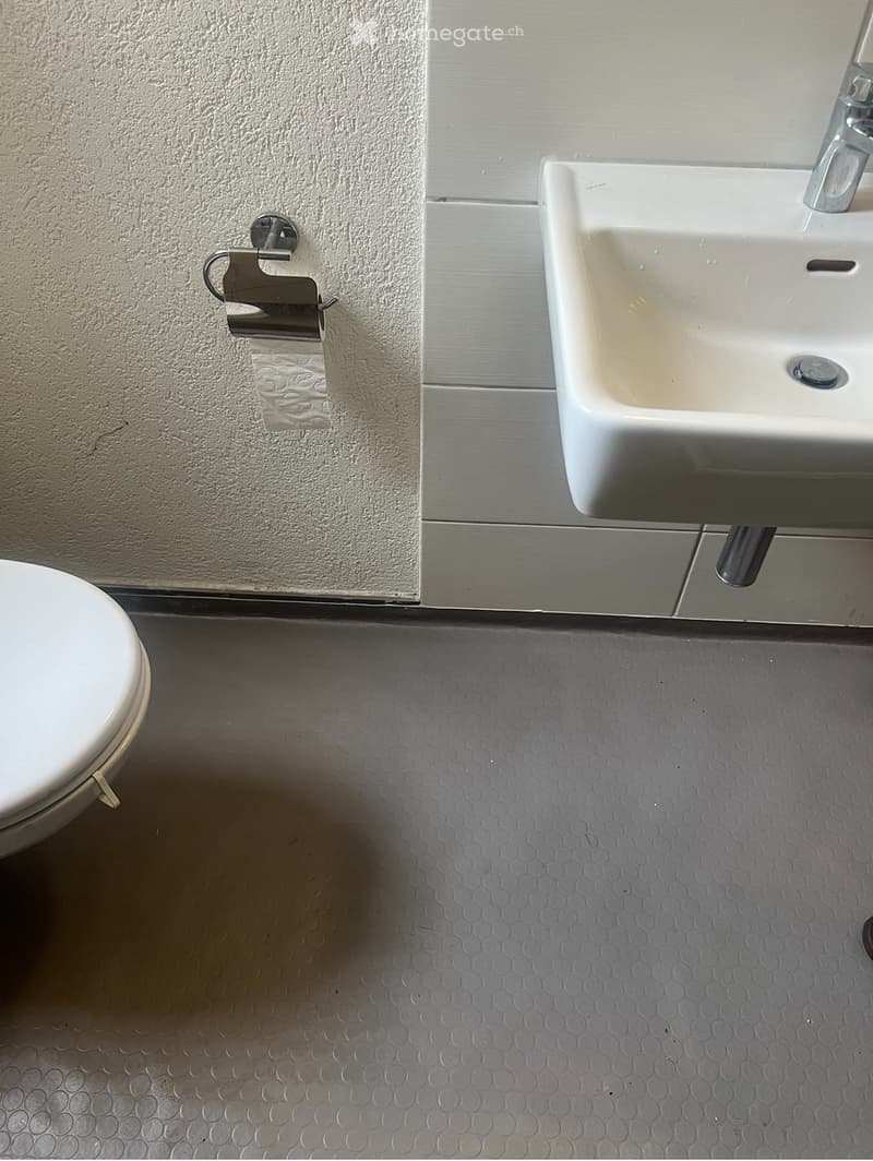 Gemütliche möblierte Zimmer (4)