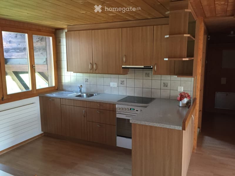 Charmante 3.5-Zimmer-Dachwohnung in Rapperswil BE (2)