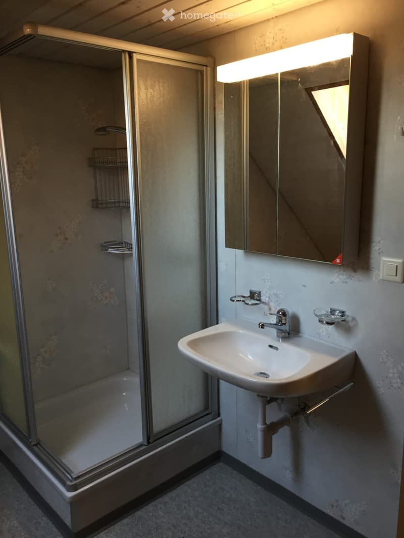 Charmante 3.5-Zimmer-Dachwohnung in Rapperswil BE (5)