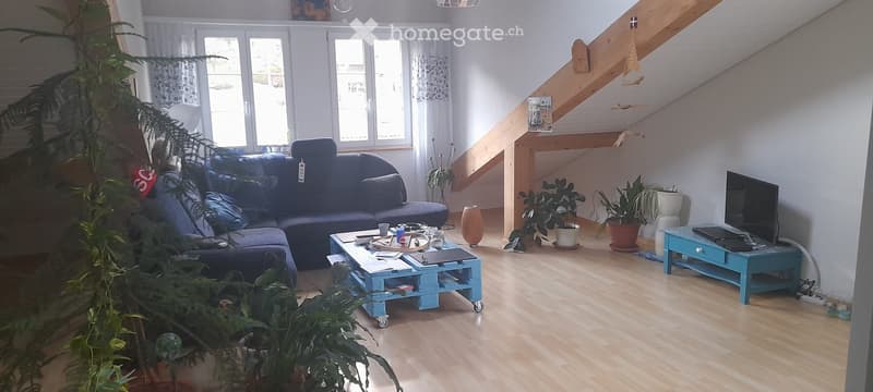 gemütliche 2.5 Zimmer Dachwohnung (3)