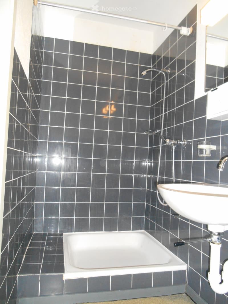 Befristetes Mieten: 11/2-Zimmer-Wohnung / UNI Bern und Insel (5)
