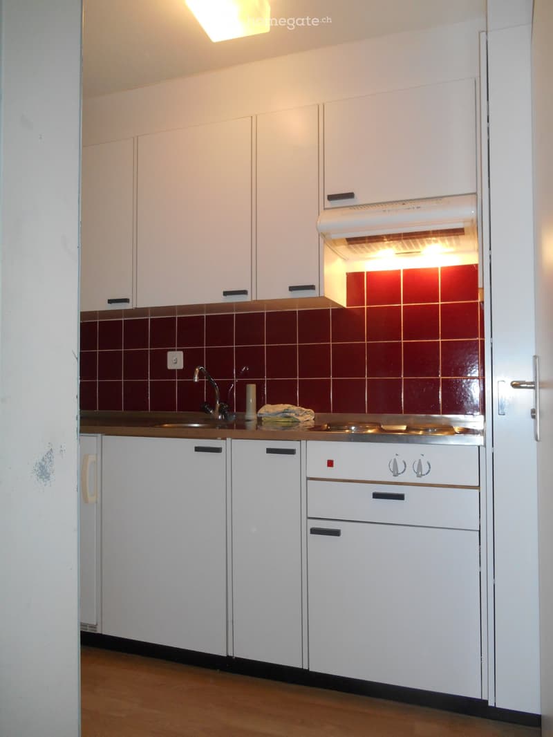 Befristetes Mieten: 11/2-Zimmer-Wohnung / UNI Bern und Insel (3)