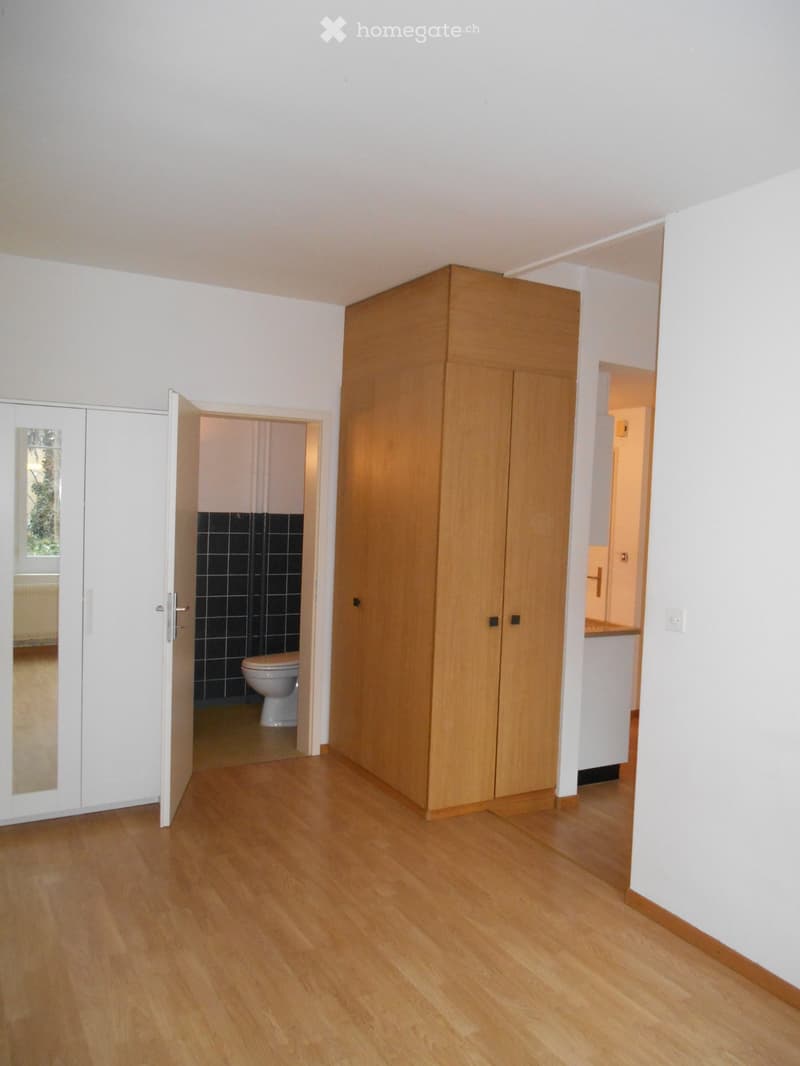 Befristetes Mieten: 11/2-Zimmer-Wohnung / UNI Bern und Insel (4)