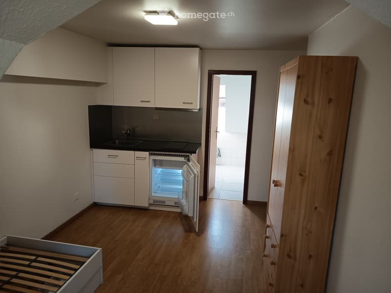 Wohnung zur Miete (5)