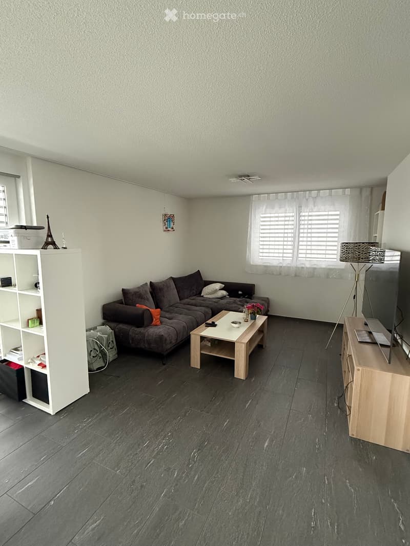 2.5 Zimmer Attika (3)
