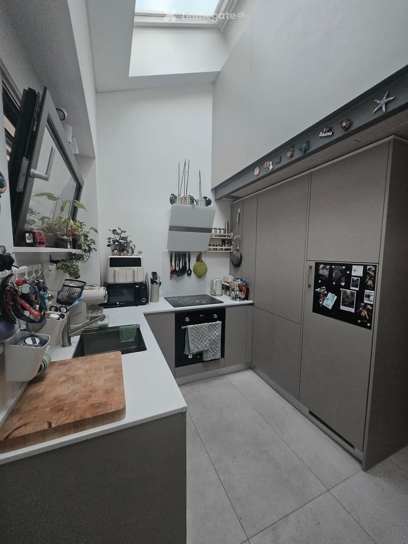 Splendido appartamento 2.5 moderno (3)