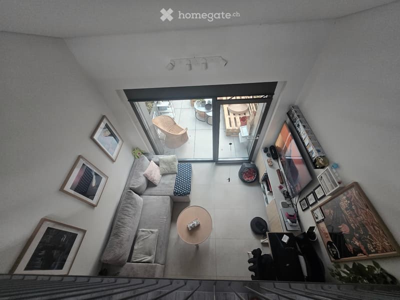 Splendido appartamento 2.5 moderno (4)