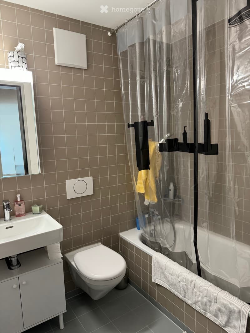 Schöne 3.5 Zimmerwohnung im Zwicky Areal (4)