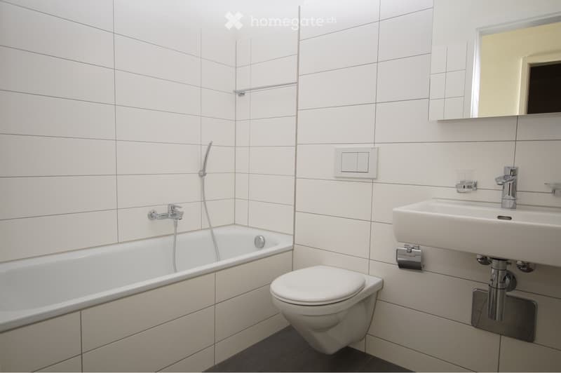 Nachmieter/in für 2.5 Zimmer Wohnung (4)