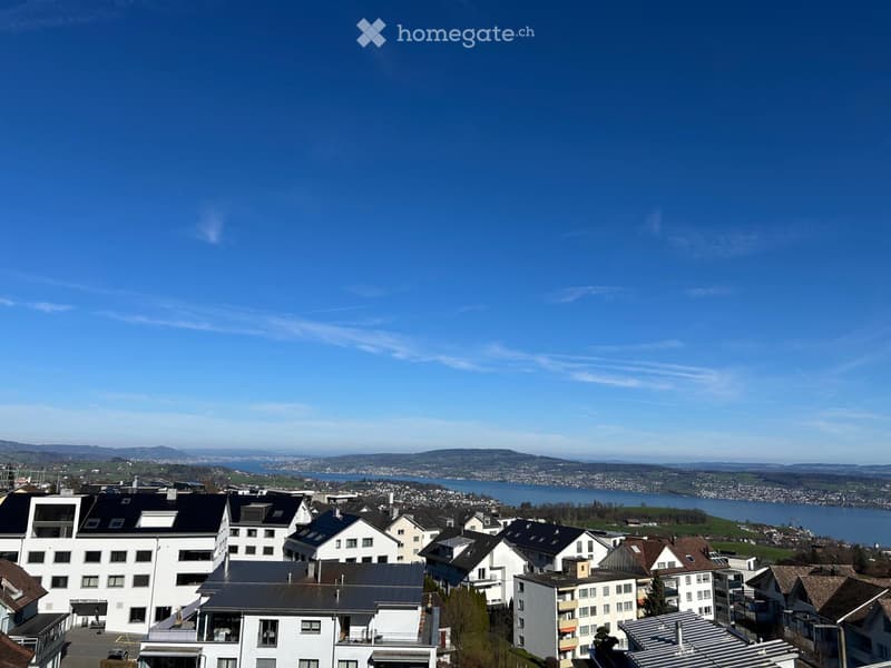WG-Zimmer in 4,5 Zi-Luxus-Wohnung (1)