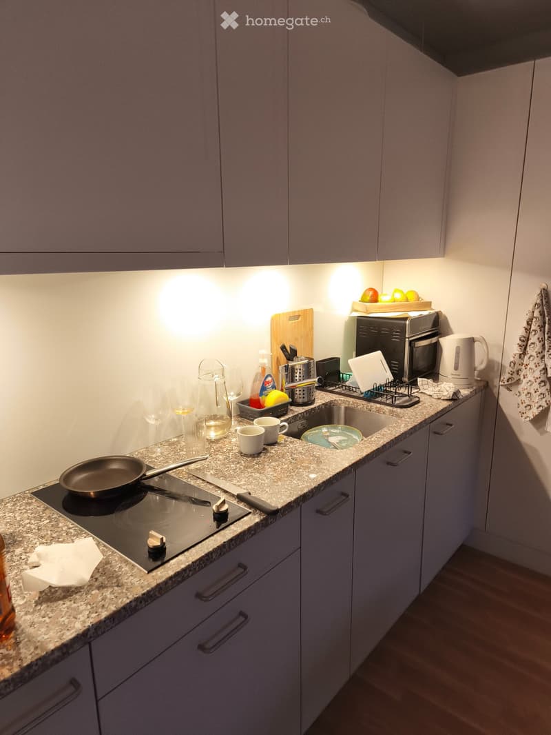 Nachmieter gesucht ab sofort (5)