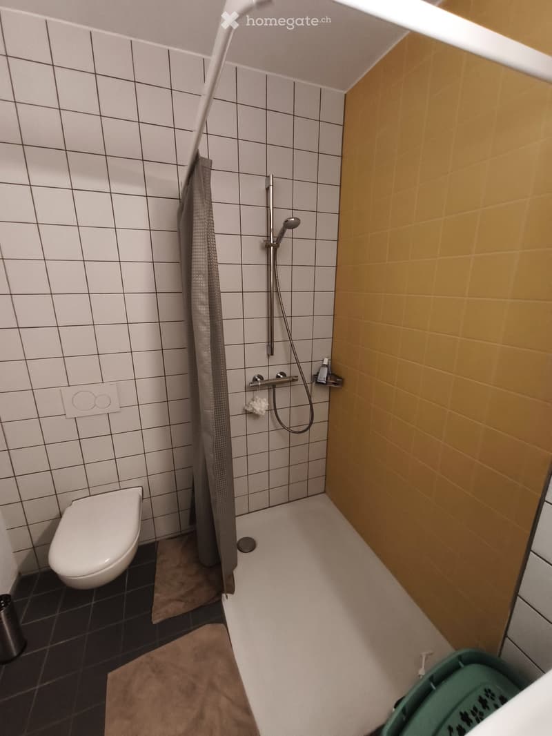 Nachmieter gesucht ab sofort (3)