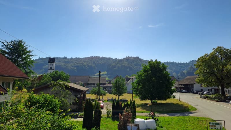 Neu renovierte Wohnung auf dem Land mit grosszügigem Balkon (11)