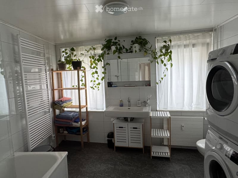Temporary Furnished Apartment Brunnen Lakefront (4)