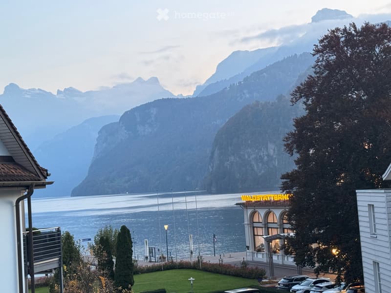 Temporary Furnished Apartment Brunnen Lakefront (5)