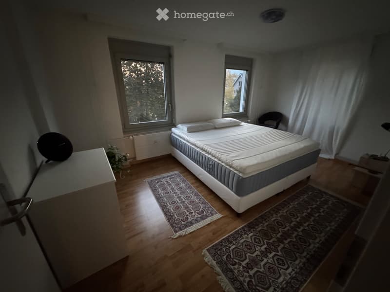 Temporary Furnished Apartment Brunnen Lakefront (3)