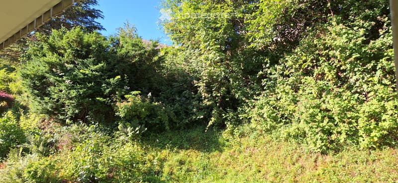 Nachmieter für helle 3 1/2-Zi-Wohng per 01.09. in Tägerig/AG (3)