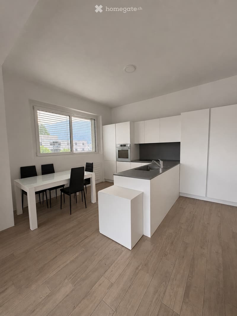 CUREGLIA, Moderno appartamento 2.5 locali, ampio balcone (2)