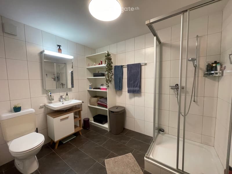 Wohnung mit Garten zmb in Rhäzüns (2)
