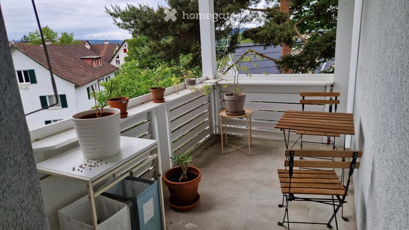 Helle Wohnung an ruhiger Lage in Zürich Höngg (5)