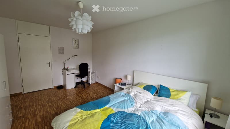 Helle Wohnung an ruhiger Lage in Zürich Höngg (2)