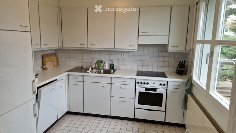 Helle Wohnung an ruhiger Lage in Zürich Höngg (4)