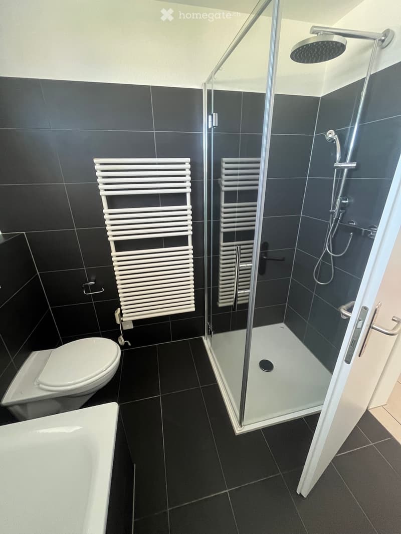 7.5 Zimmer Doppeleinfamilienhaus (5)