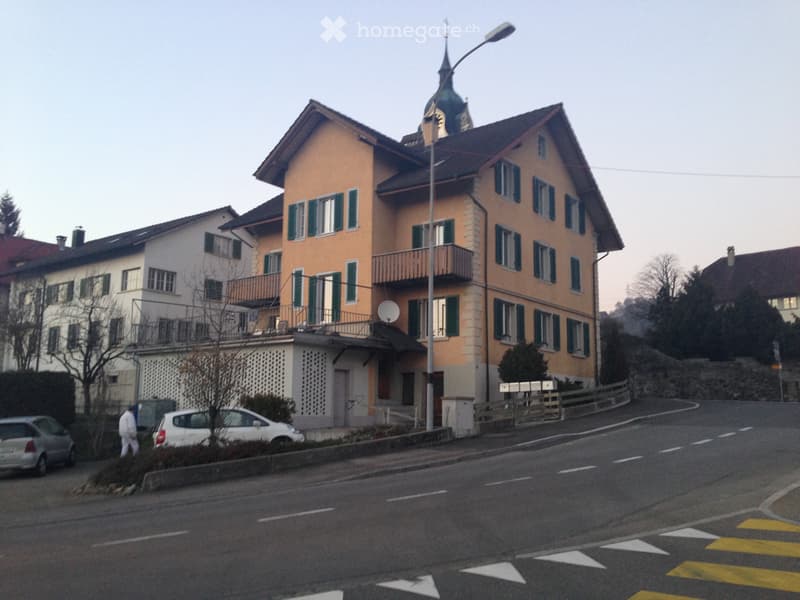 Günstiges Studio in Triengen zentral gelegen (4)