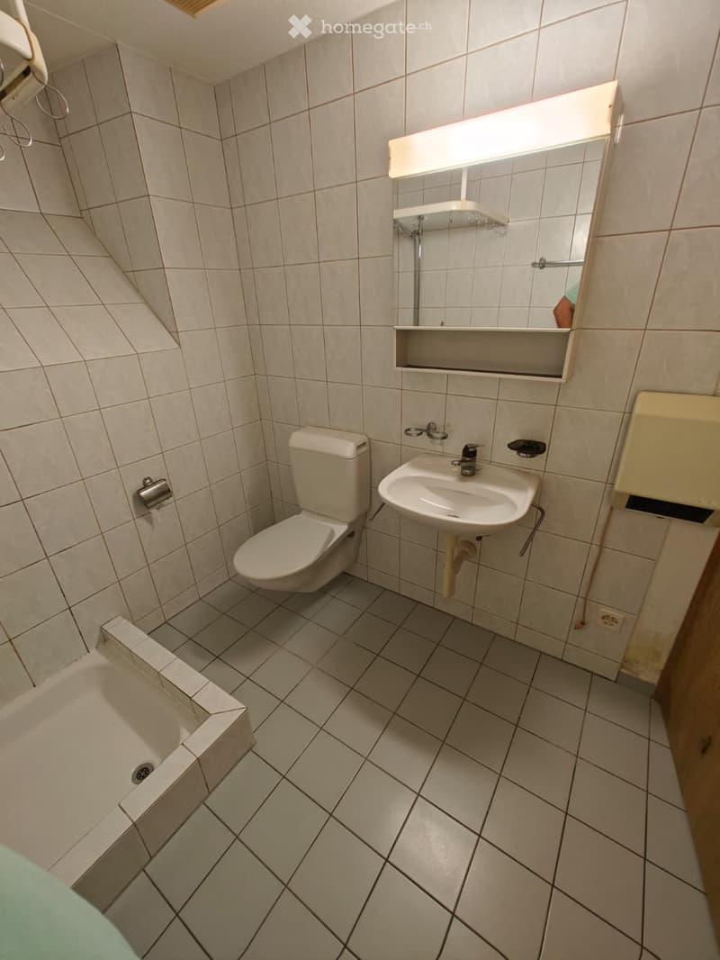 Günstiges Studio in Triengen zentral gelegen (3)