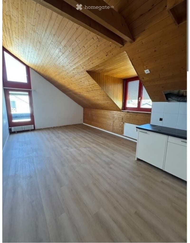 1-Zimmer Dachwohnung frisch renoviert (1)