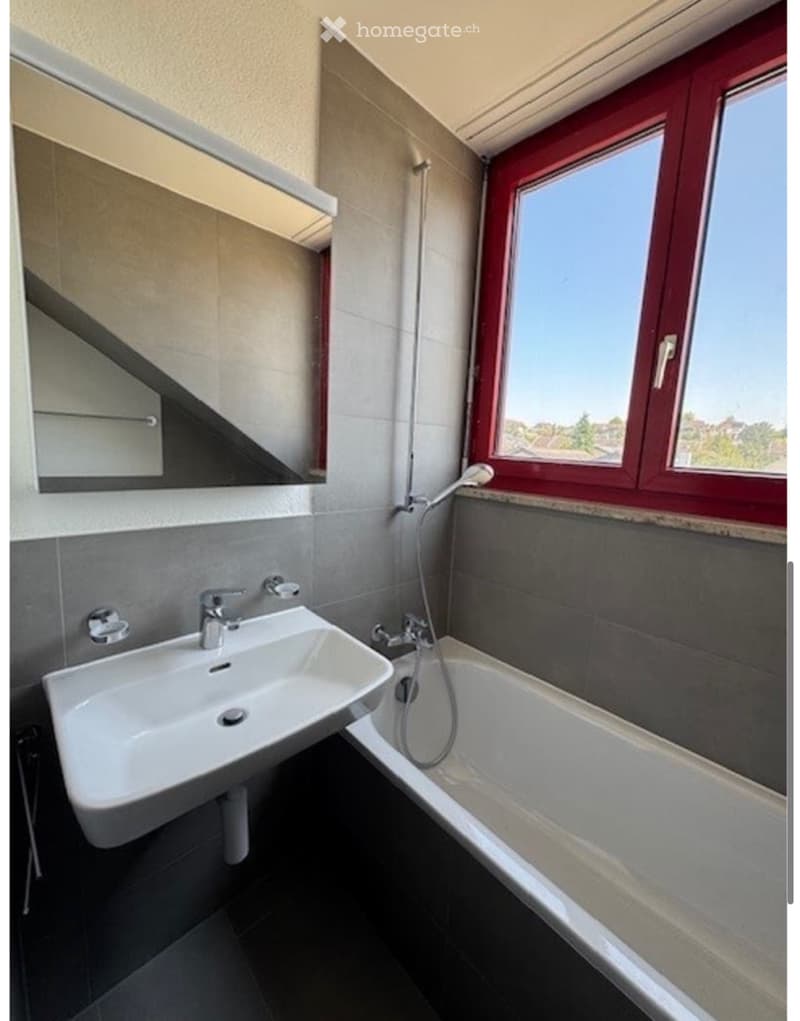 1-Zimmer Dachwohnung frisch renoviert (3)