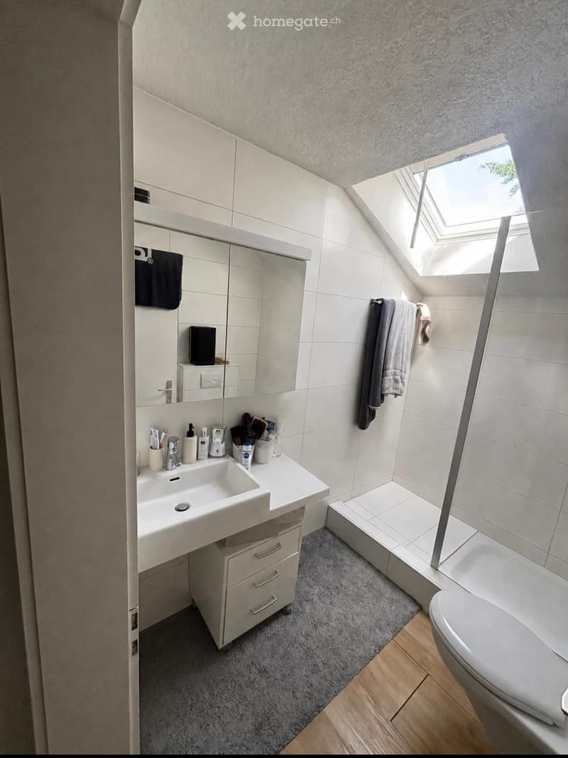 2.5 Zimmer Wohnung (2)