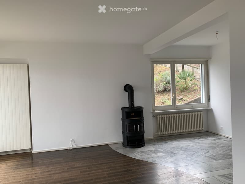 Appartamento 3.5 Locali con giardino (2)