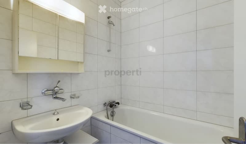 3.5 Zimmer Wohnung (3)