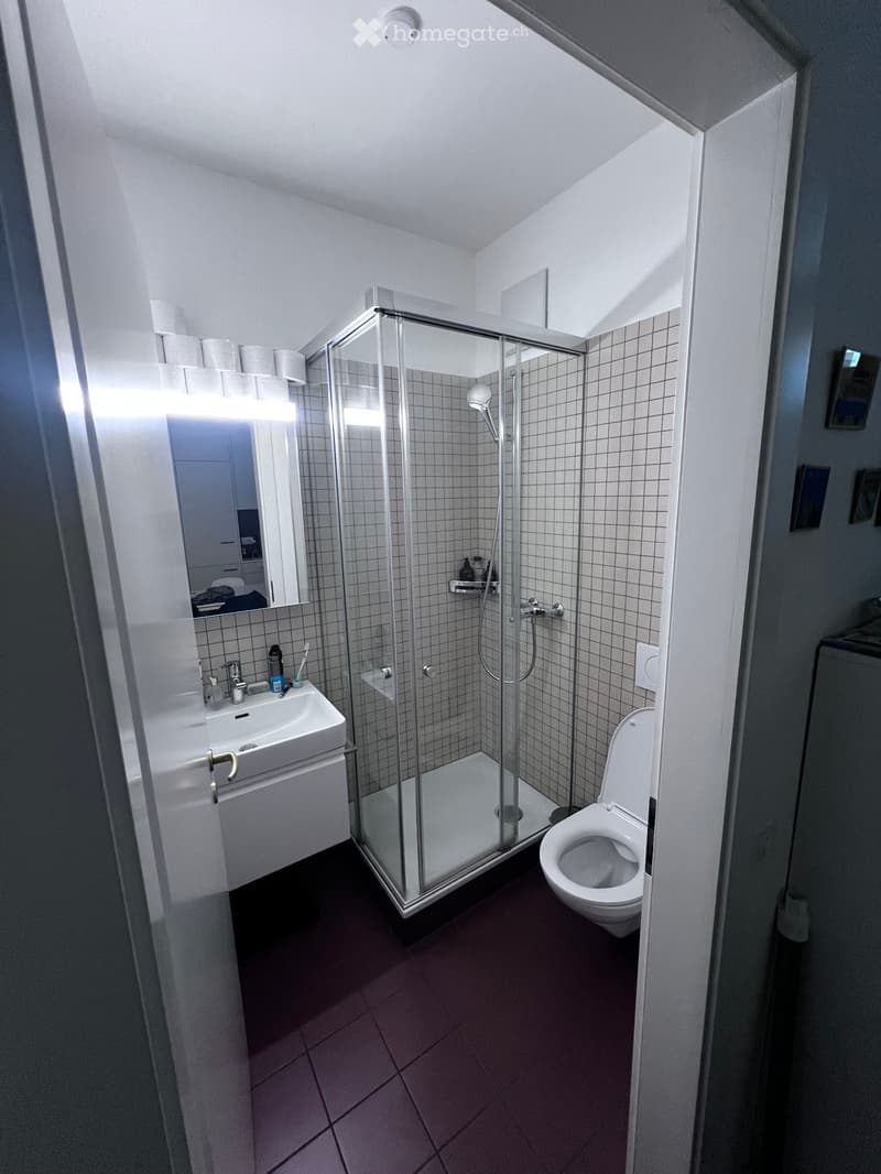 Enge | Apartment near Lake | 2.5 Rooms | Temporary (5)