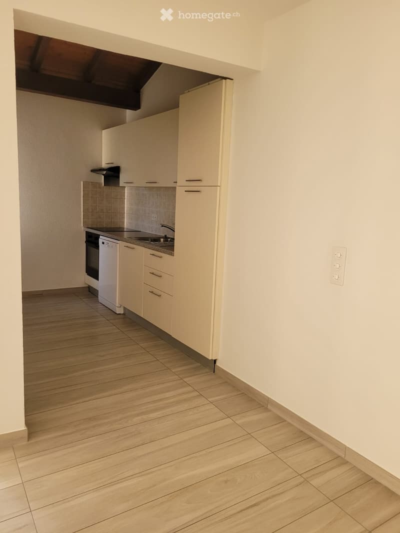 Affittasi appartamento 2.5 locali (3)
