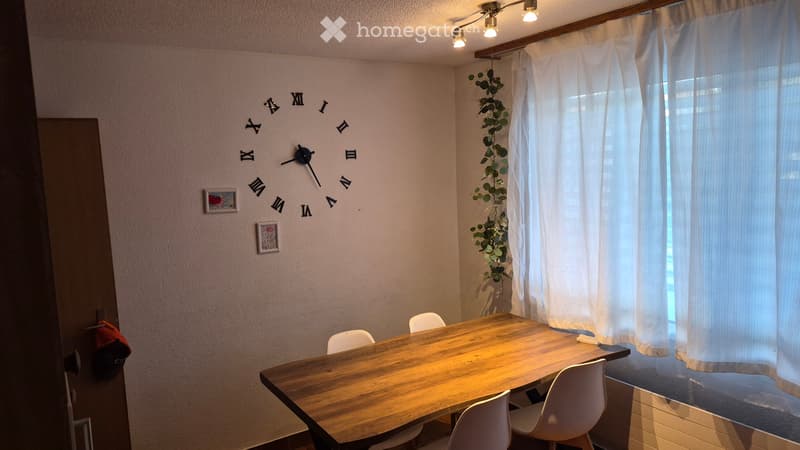 Nachmieter gesucht  Schöne 4.5-Zimmer-Wohnung ab August (3)